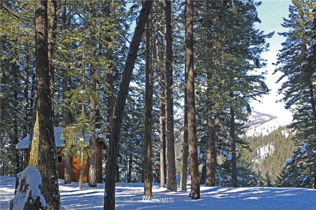 9 South Airstrip Road Twisp, WA 98856 - Photo 17 of 23 Gallery Image 17