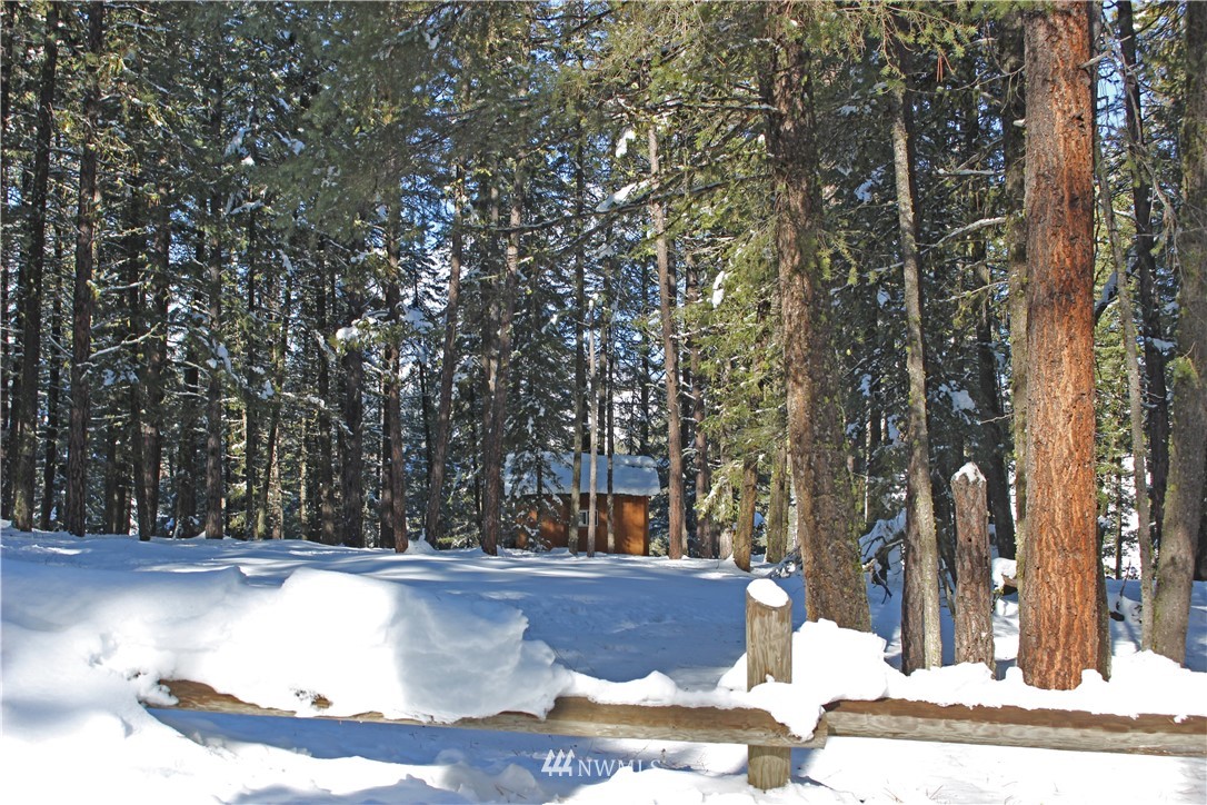 9 South Airstrip Road Twisp, WA 98856 - Photo 18 of 23 Gallery Image 18