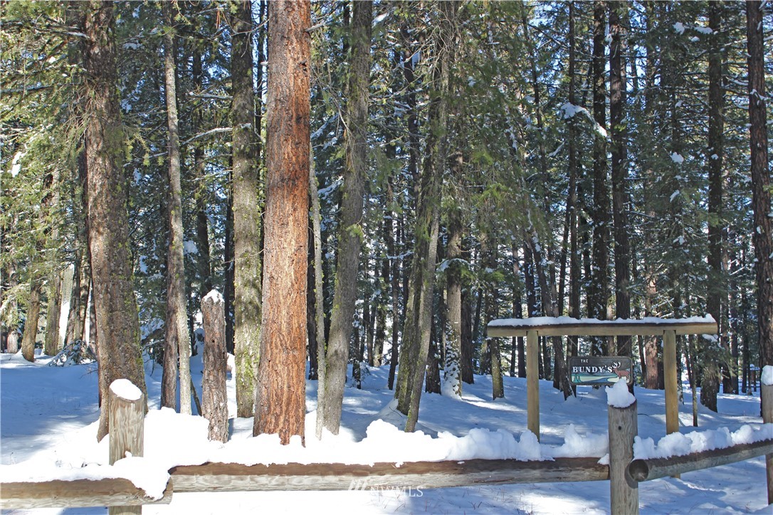 9 South Airstrip Road Twisp, WA 98856 - Photo 20 of 23 Gallery Image 20