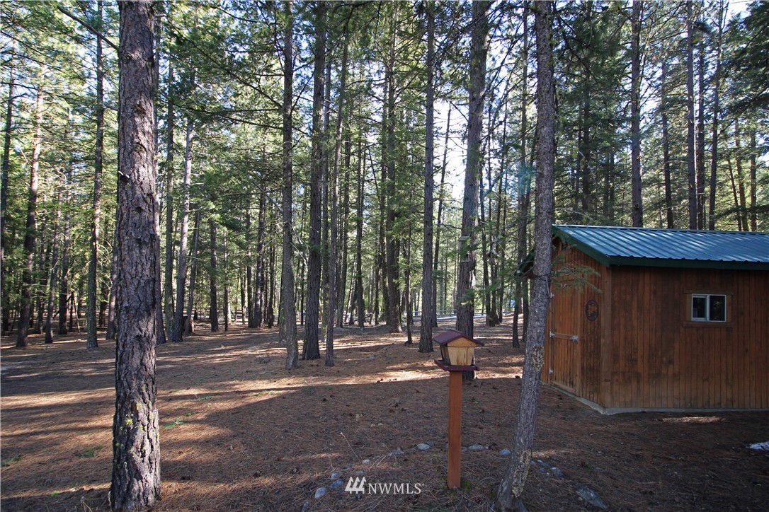 9 South Airstrip Road Twisp, WA 98856 - Photo 4 of 23 Gallery Image 4