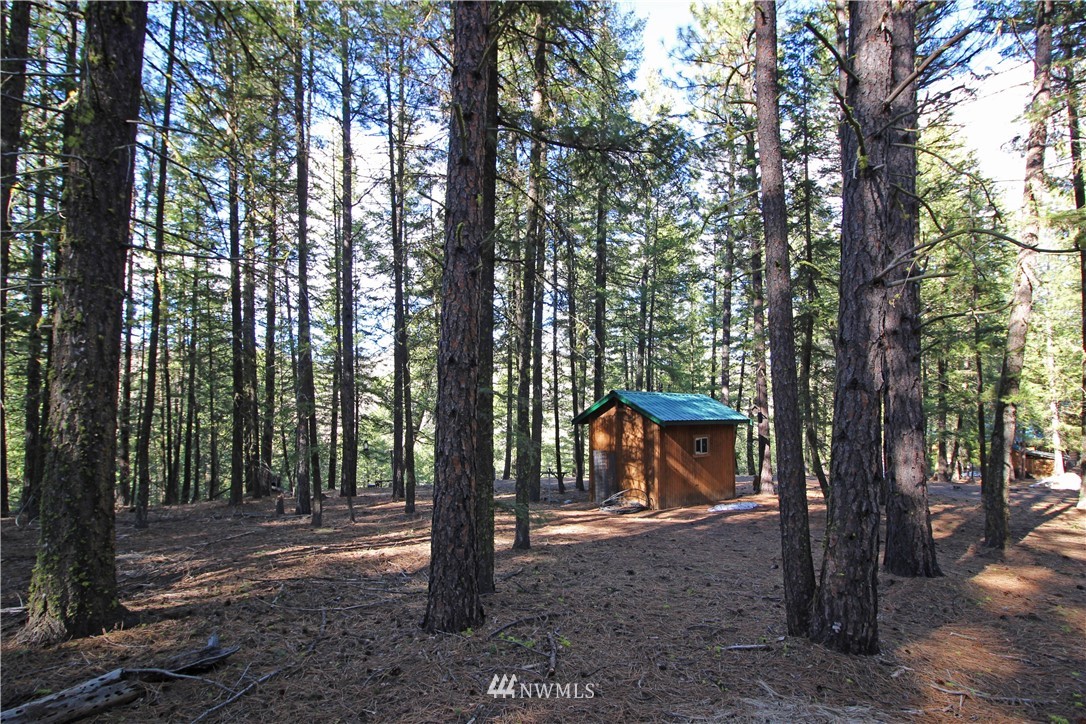 9 South Airstrip Road Twisp, WA 98856 - Photo 7 of 23 Gallery Image 7