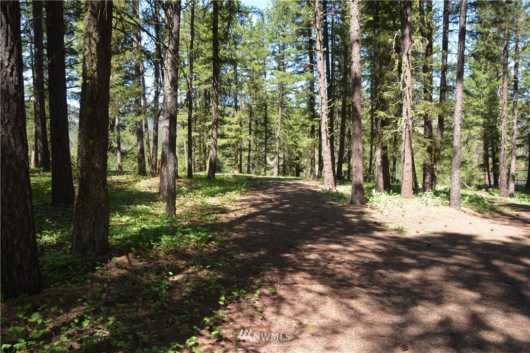9 South Airstrip Road Twisp, WA 98856 - Photo 9 of 23 Gallery Image 9