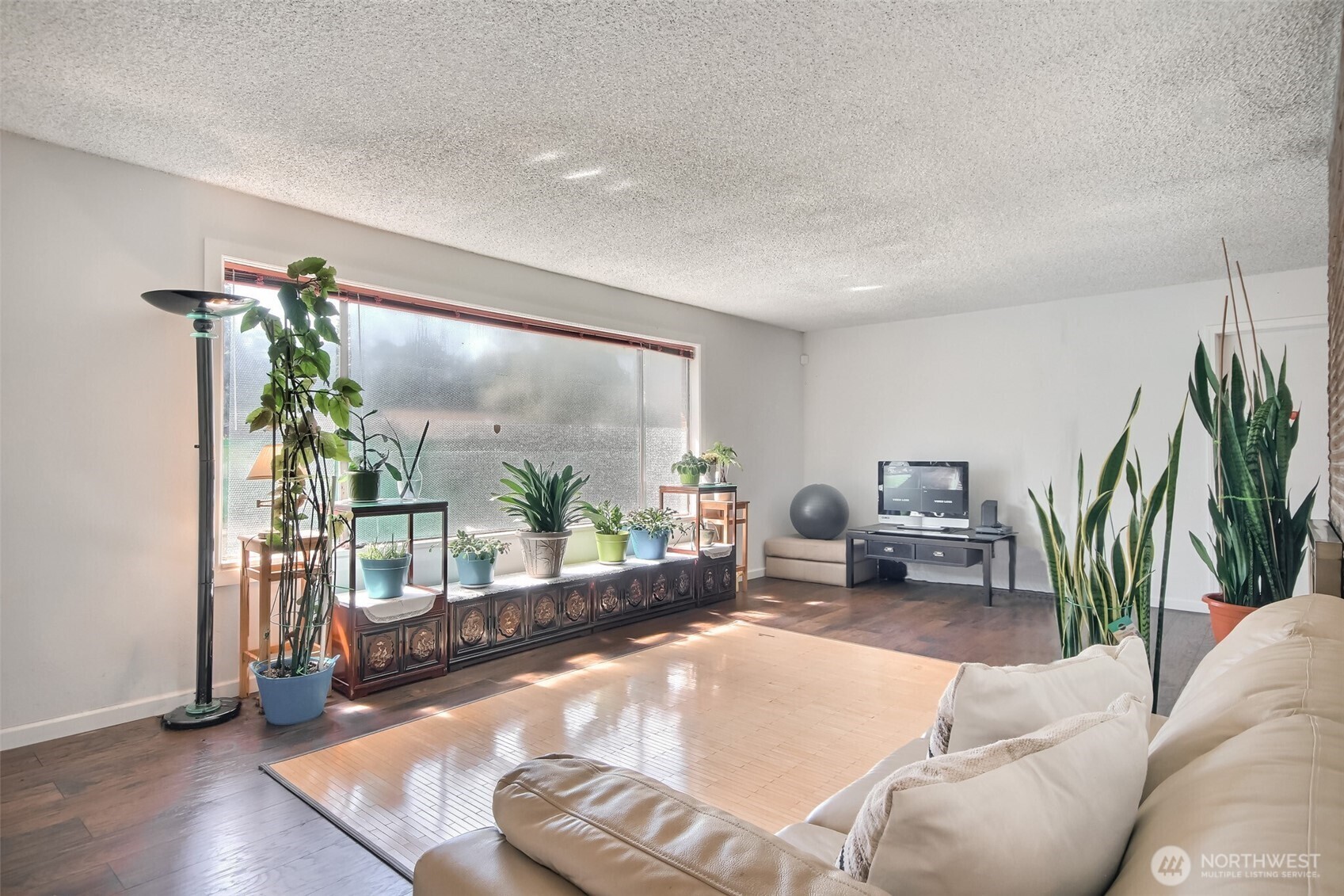 810 Southwest 356th Street Federal Way, WA 98023 - Photo 7 of 40 a living room with furniture and a potted plant