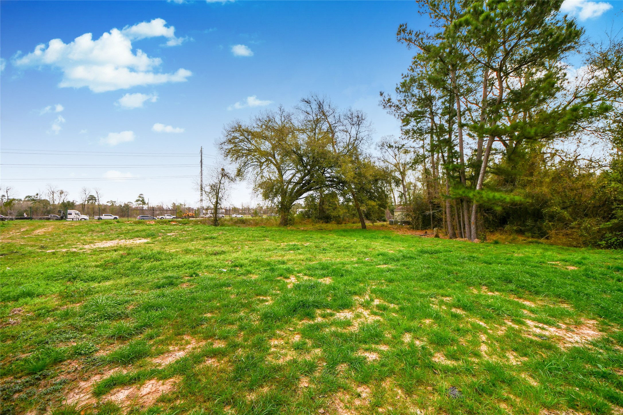5310 Logston Lane Spring, TX 77389 - Photo 37 of 47 a view of yard with green space
