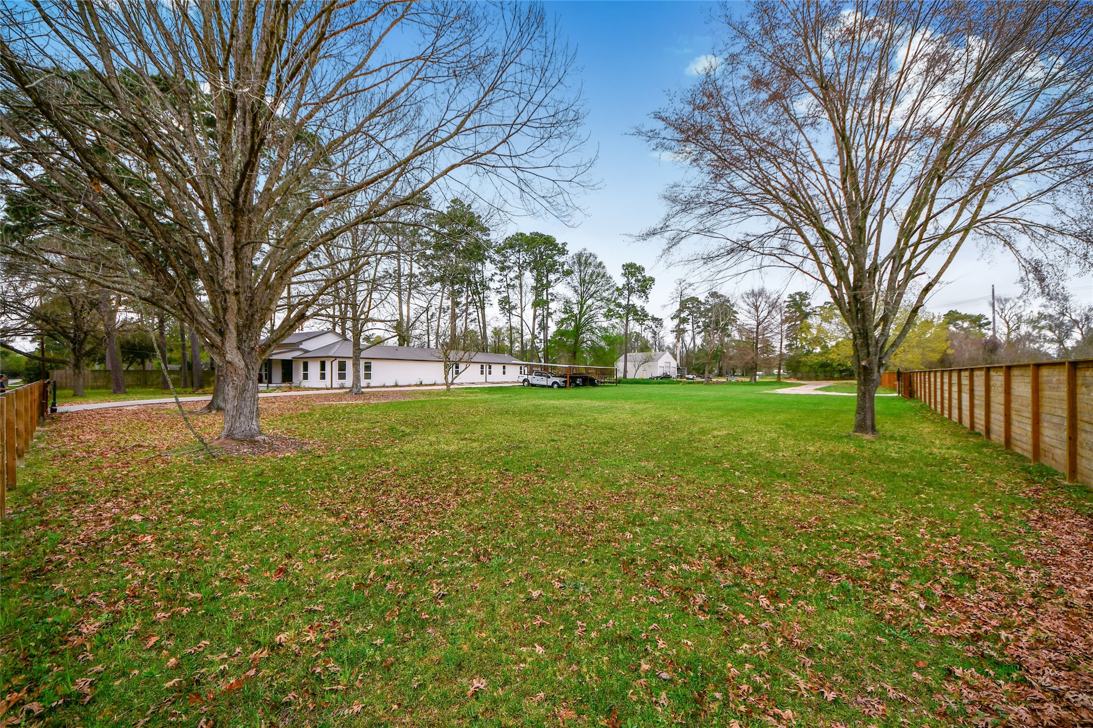 5310 Logston Lane Spring, TX 77389 - Photo 44 of 47 a view of a trees in front of a house