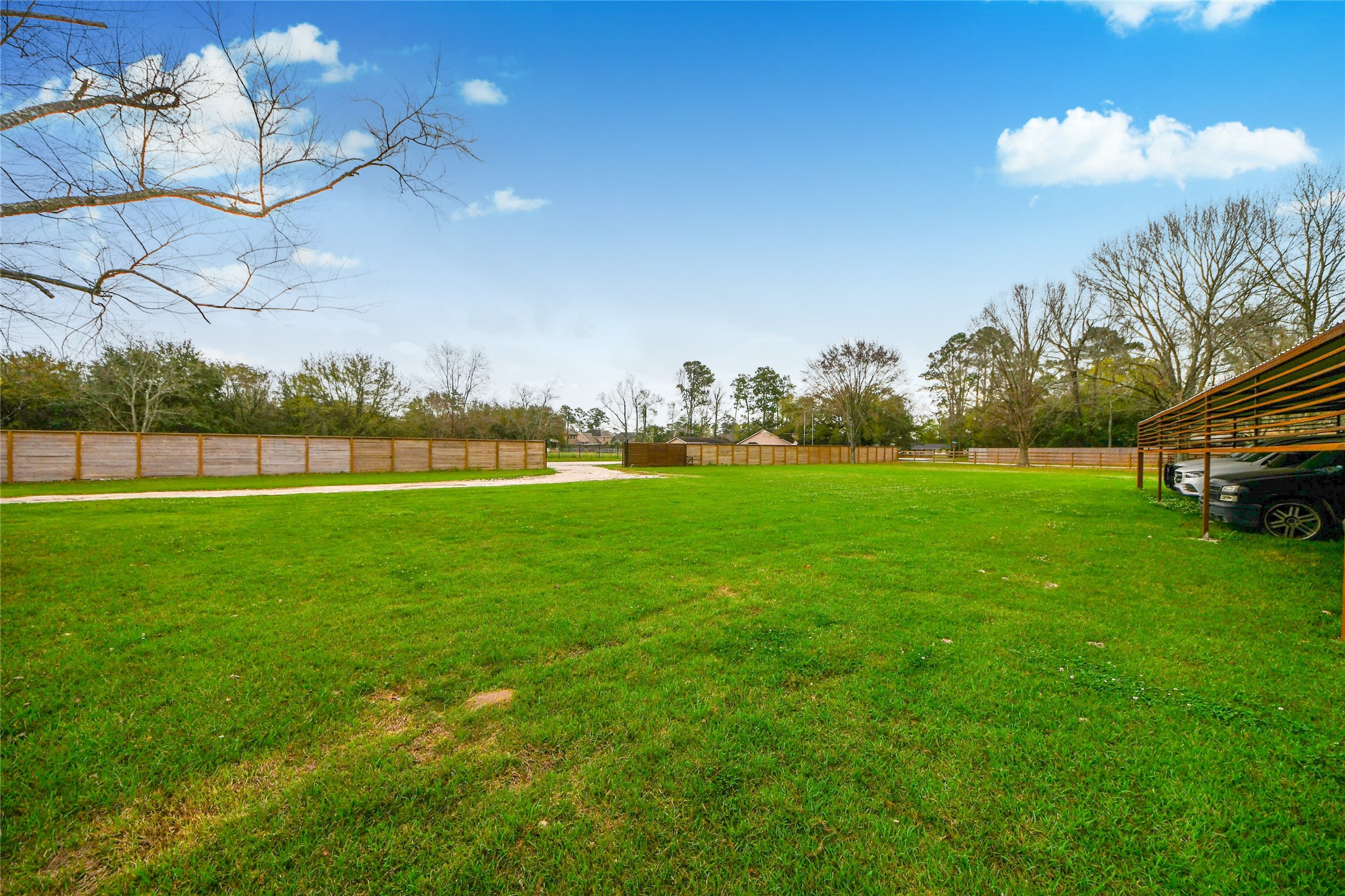 5310 Logston Lane Spring, TX 77389 - Photo 5 of 47 a view of yard with swimming pool and green space