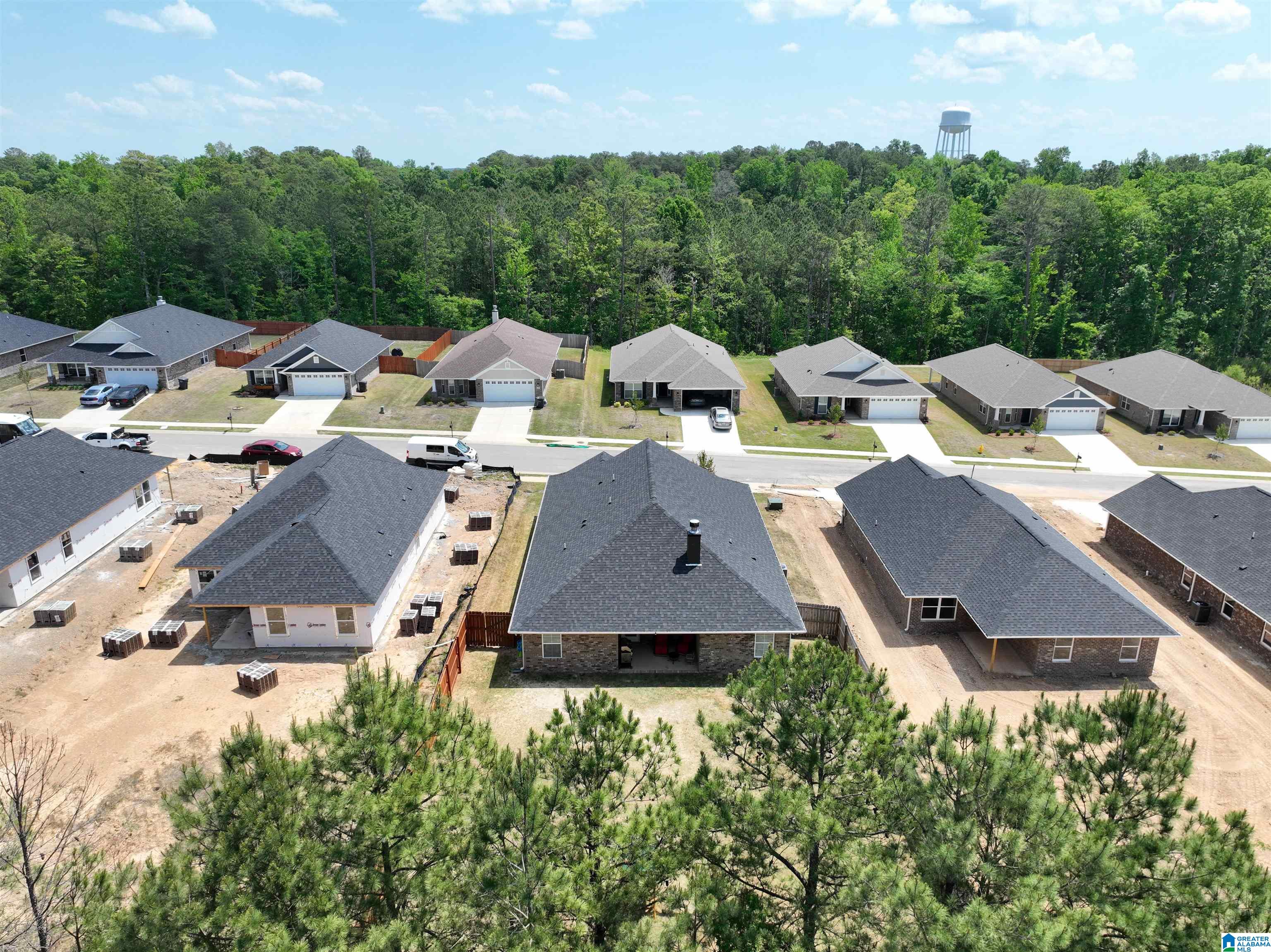 2106 Turquoise Lane Calera, AL 35040 - Photo 12 of 59