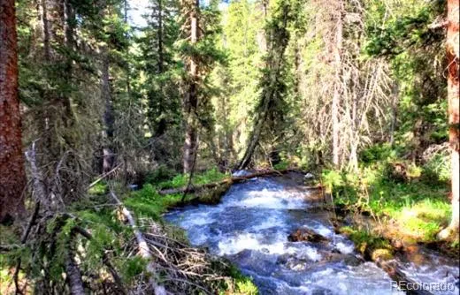 $48,900 | Boss Lode Claim, Almont, CO 81210