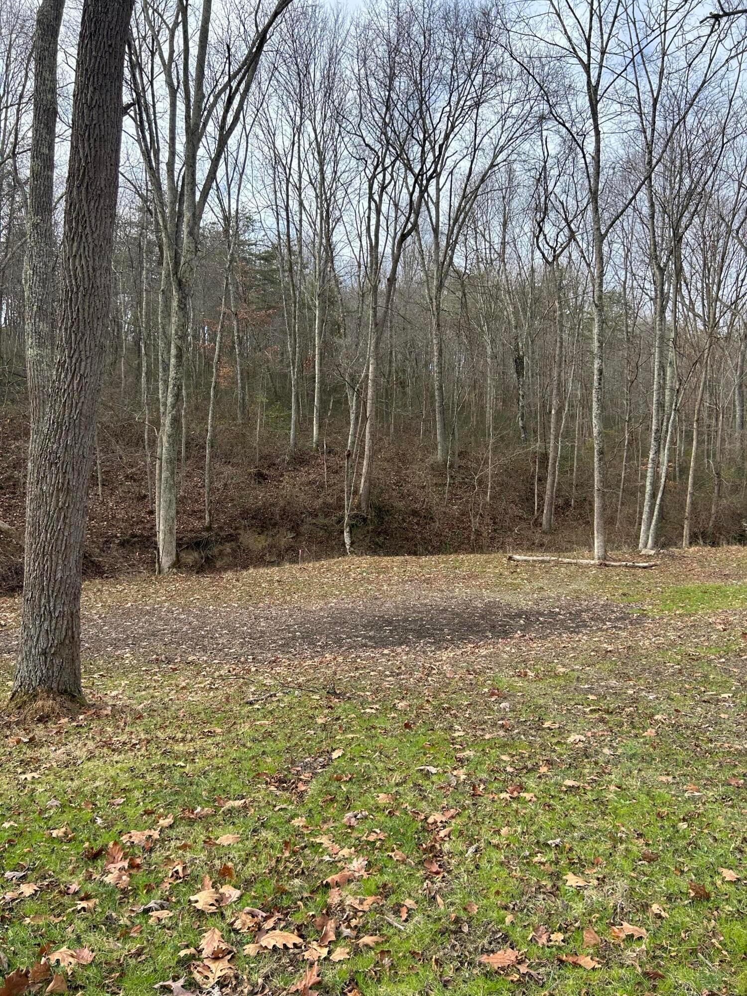 33461 Oliver Road Logan, OH 43138 - Photo 13 of 20 112417B1-E5D7-485E-8A1F-4C25325B2CD4