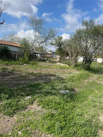 a view of a big yard in front of the house