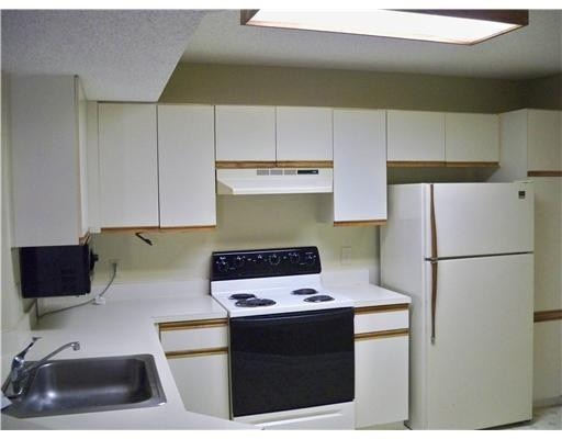 a kitchen with a white stove top oven and refrigerator