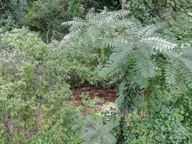 $569,000 | 153 State Street, Asheville, NC 28806