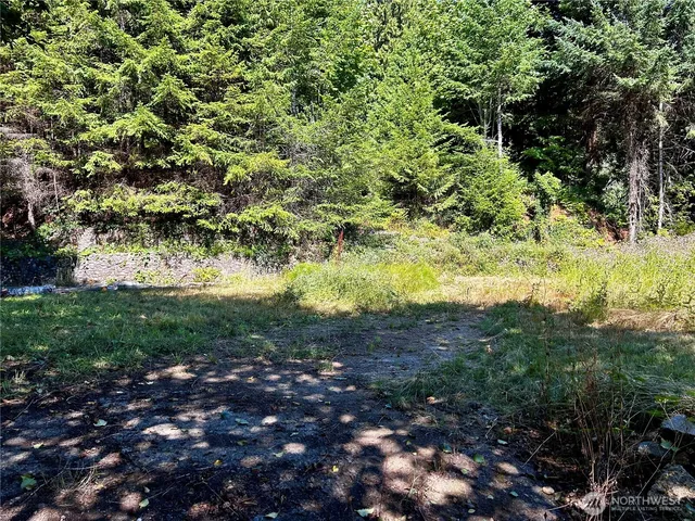 $189,000 | 11 Williams Court, Brinnon, WA 98320