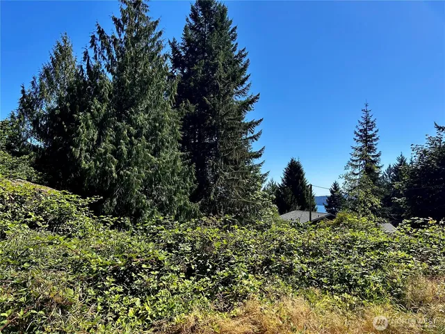 $189,000 | 11 Williams Court, Brinnon, WA 98320