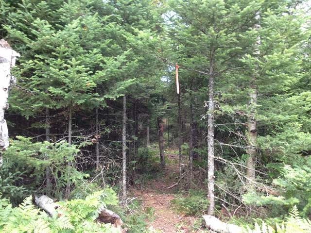1-2 White Woods Road St. Germain, WI 54558 - Photo 5 of 18 Gallery Image 5