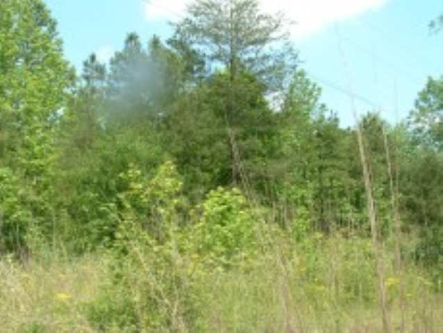 Lot 2 Beaver Road Royston, GA 30662 - Photo 1 of 6