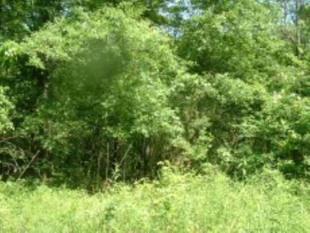 Lot 2 Beaver Road Royston, GA 30662 - Photo 3 of 6