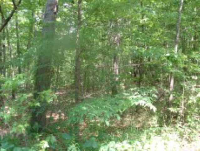 Lot 2 Beaver Road Royston, GA 30662 - Photo 4 of 6