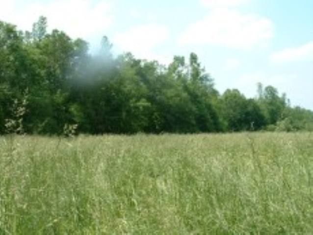 Lot 2 Beaver Road Royston, GA 30662 - Photo 5 of 6
