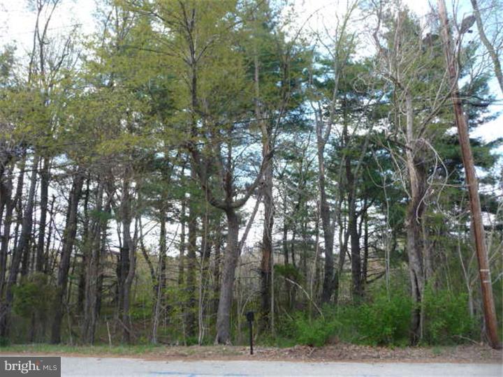 11 Lerro Road Pedricktown, NJ 08067 - Photo 20 of 22 View