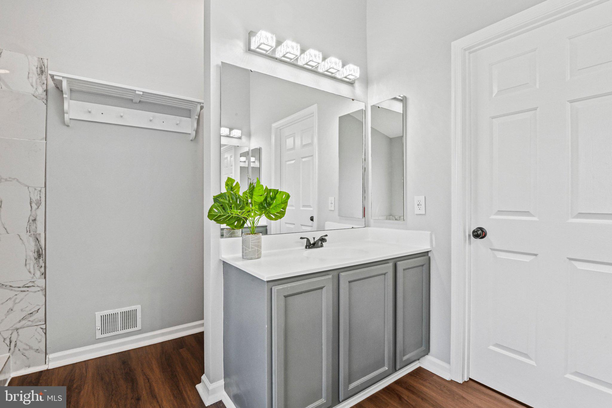 20733 Rainsboro Drive Ashburn, VA 20147 - Photo 36 of 63 a bathroom with a sink and a mirror