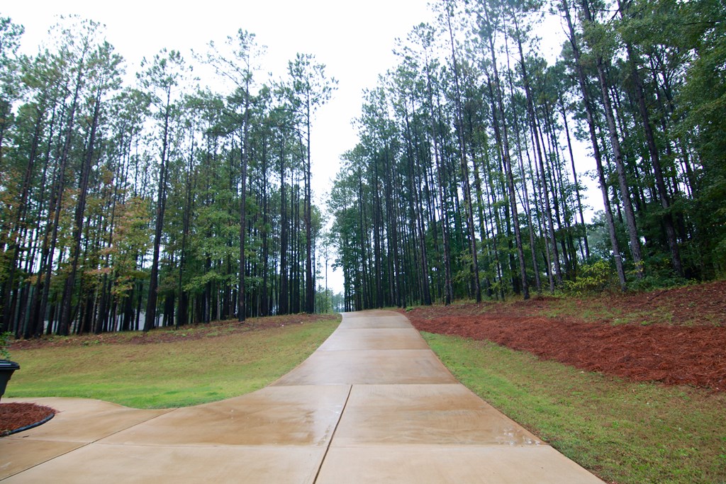 523 Ross Road Waverly Hall, GA 31831 - Photo 5 of 39 Gallery Image 5