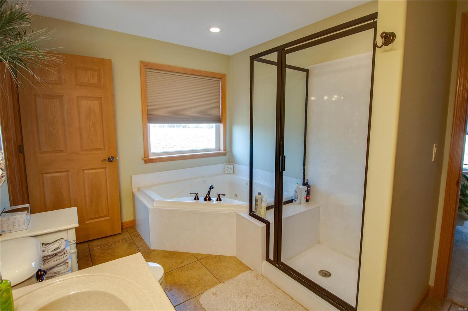 32944 Delhi Road Brighton, IL 62012 - Photo 26 of 57