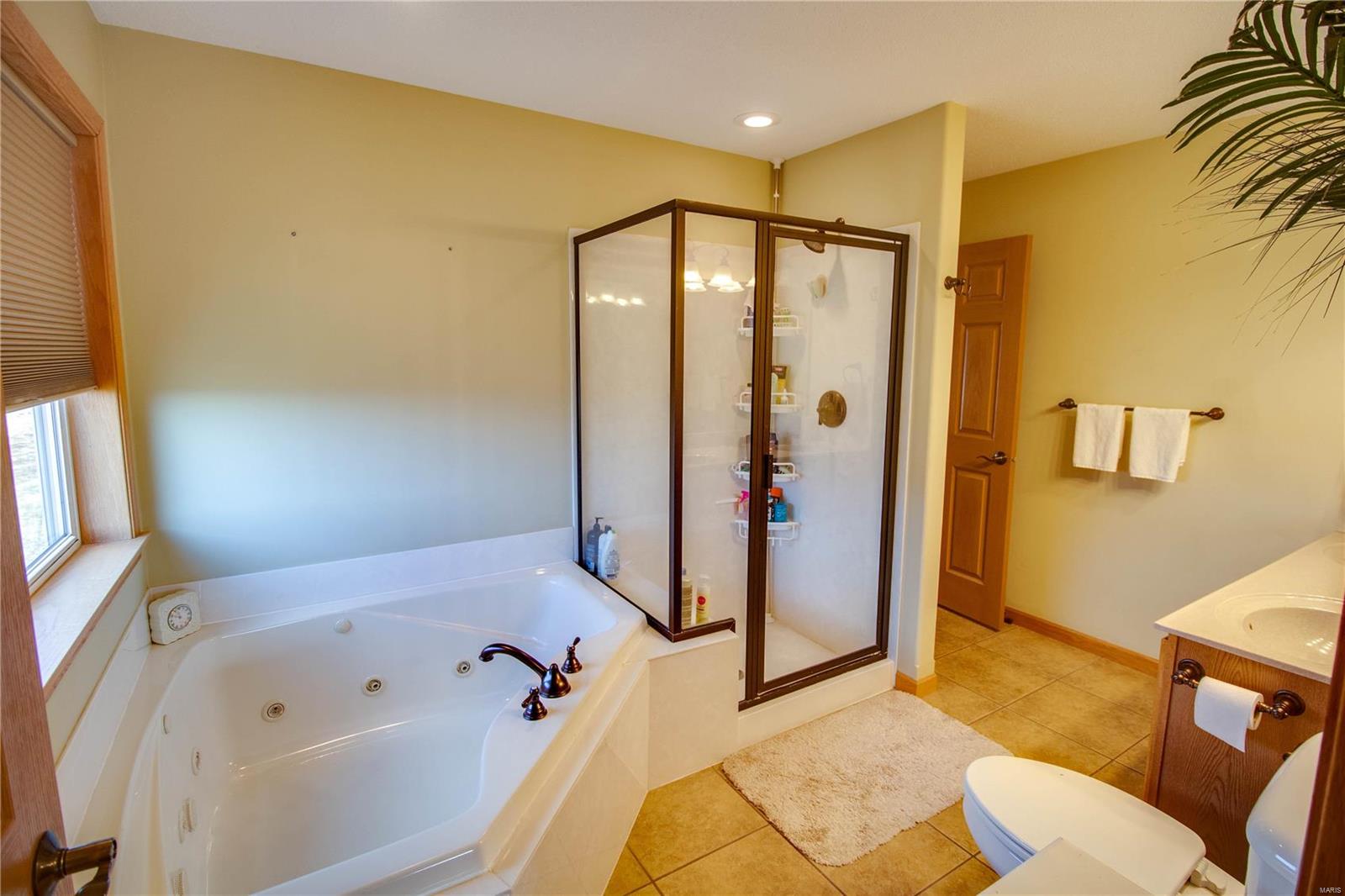 32944 Delhi Road Brighton, IL 62012 - Photo 27 of 57