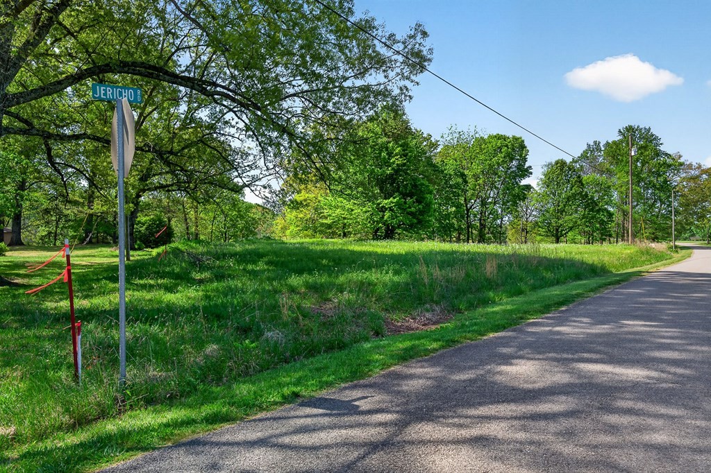 515 Jericho Road Quebeck, TN 38579 - Photo 1 of 21 a backyard of a house with a garden and plants