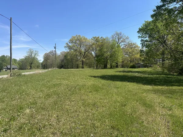 a view of a field with trees in background