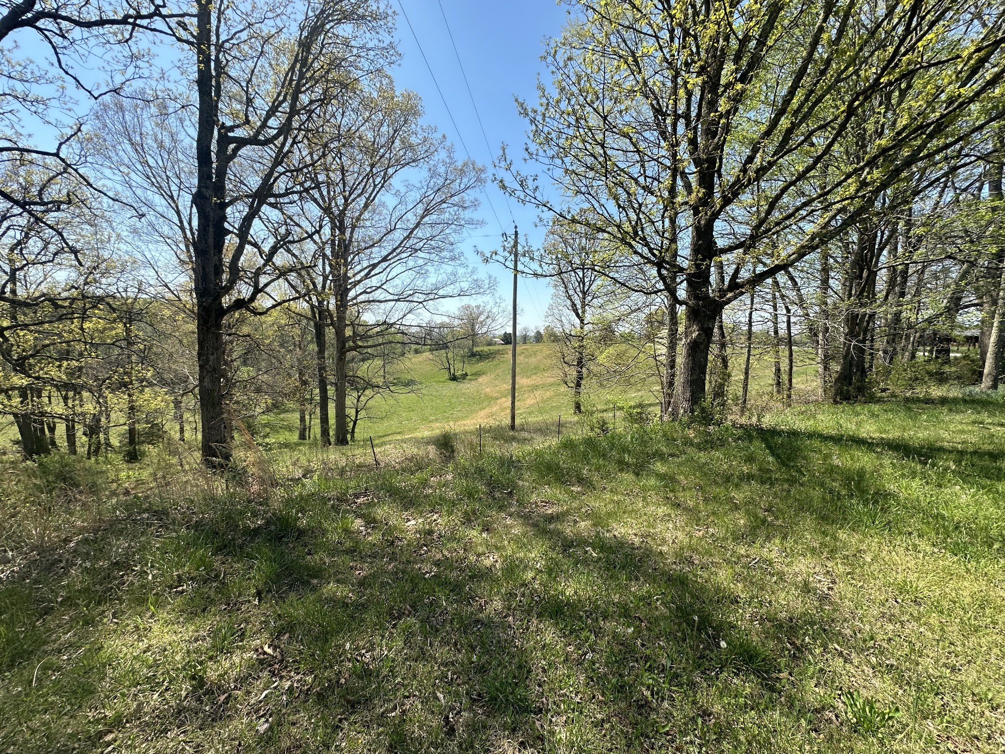 515 Jericho Road Quebeck, TN 38579 - Photo 13 of 21 a view of outdoor space with trees all around