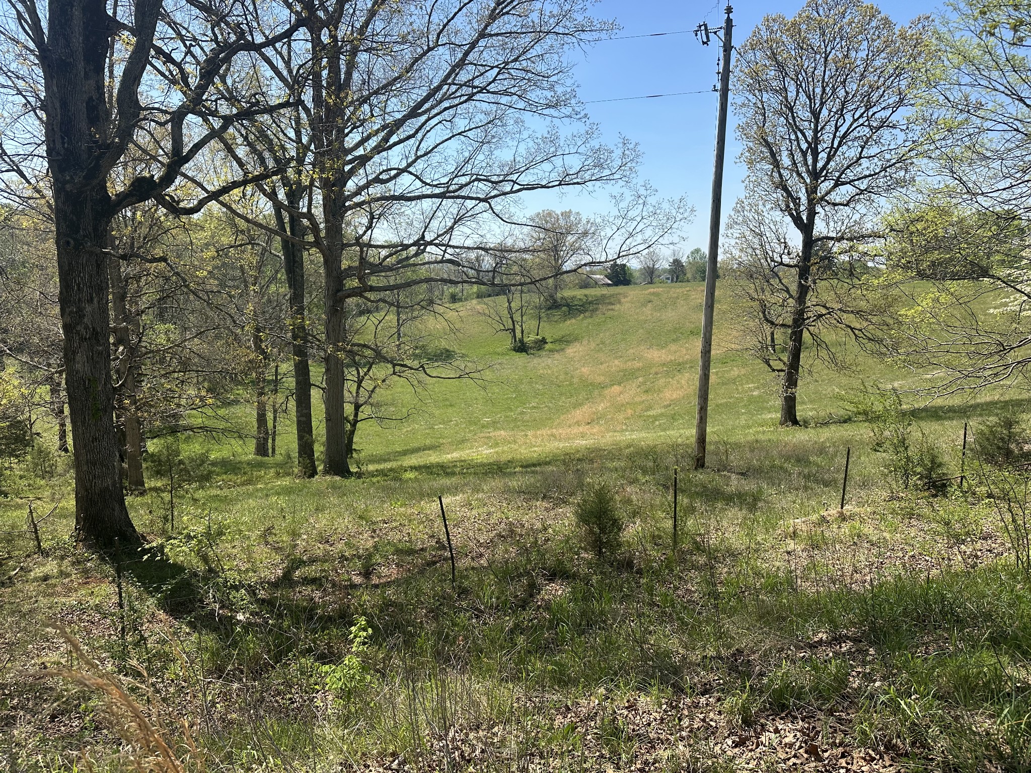 515 Jericho Road Quebeck, TN 38579 - Photo 14 of 21 a view of a yard with an trees