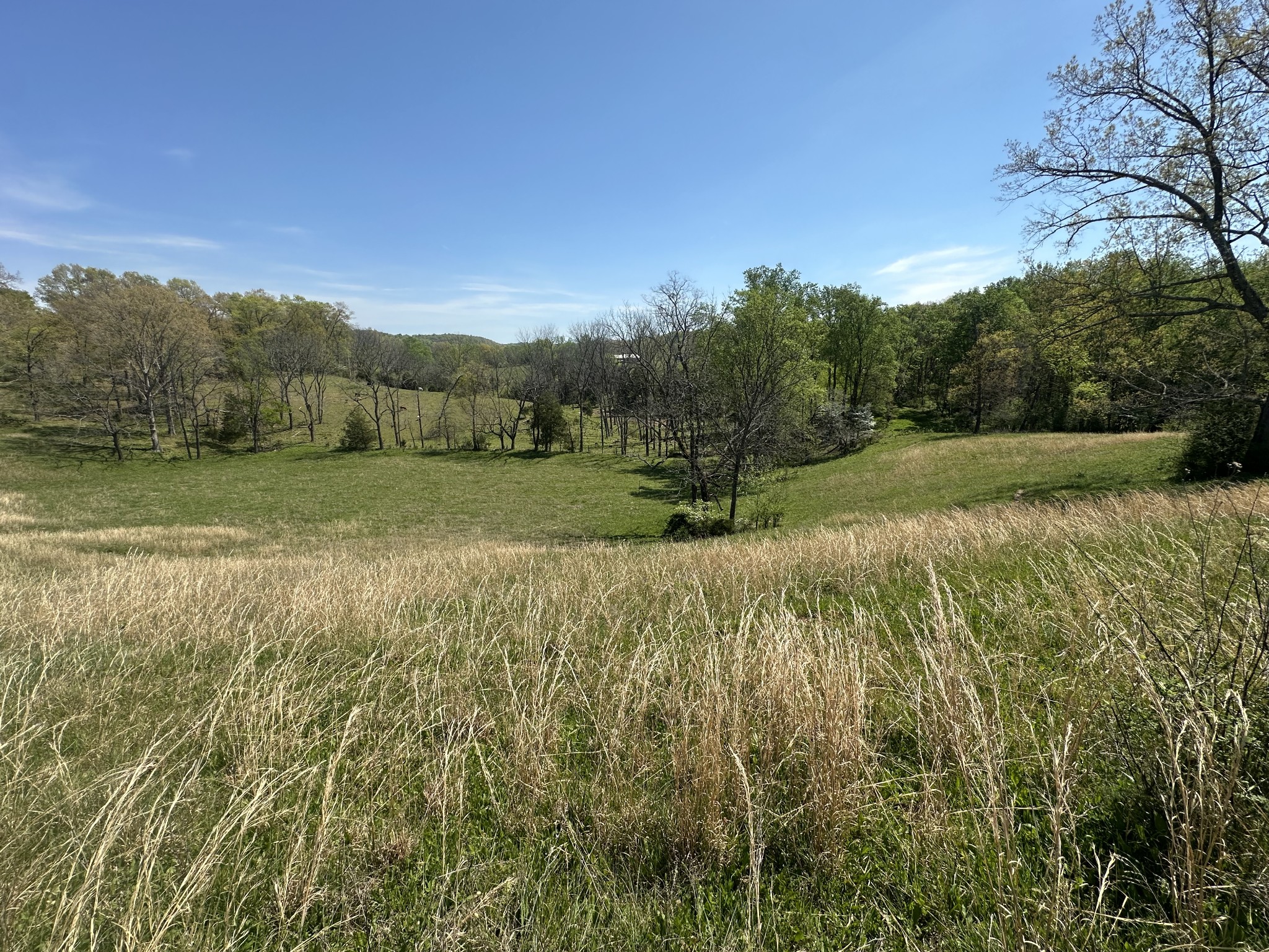 515 Jericho Road Quebeck, TN 38579 - Photo 16 of 21 a view of field with large trees