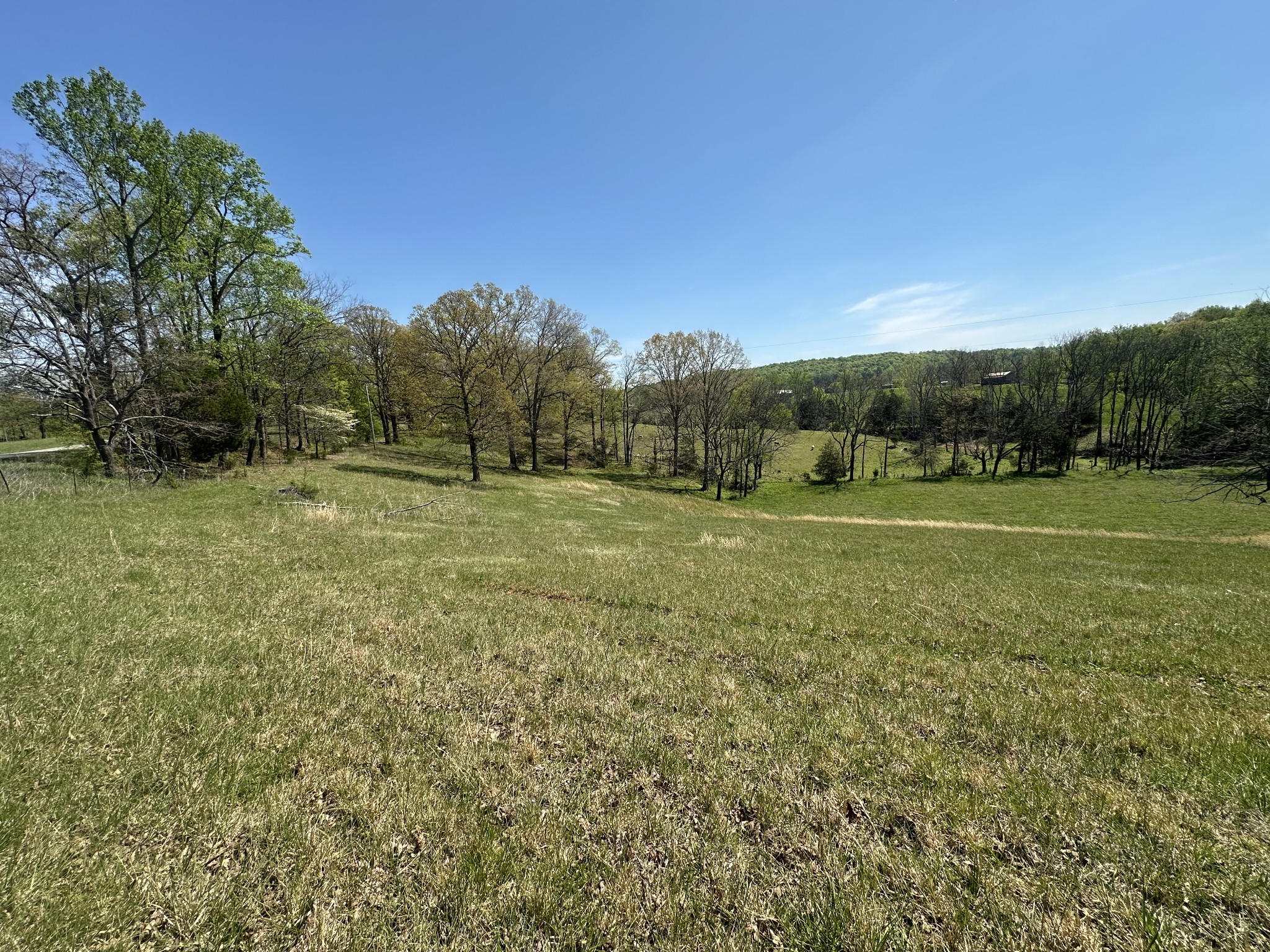 515 Jericho Road Quebeck, TN 38579 - Photo 19 of 21 a view of outdoor space with trees all around