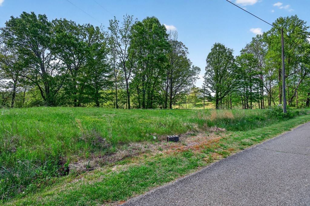 515 Jericho Road Quebeck, TN 38579 - Photo 2 of 21 a view of a garden with a tree