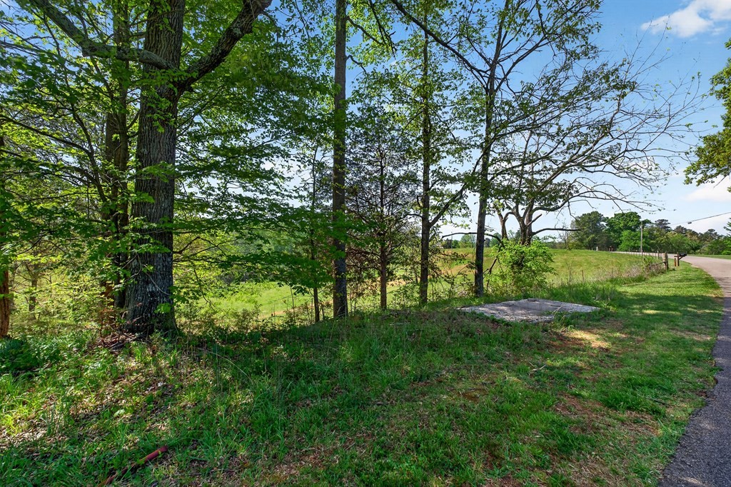515 Jericho Road Quebeck, TN 38579 - Photo 3 of 21 a view of an outdoor space with a lake view