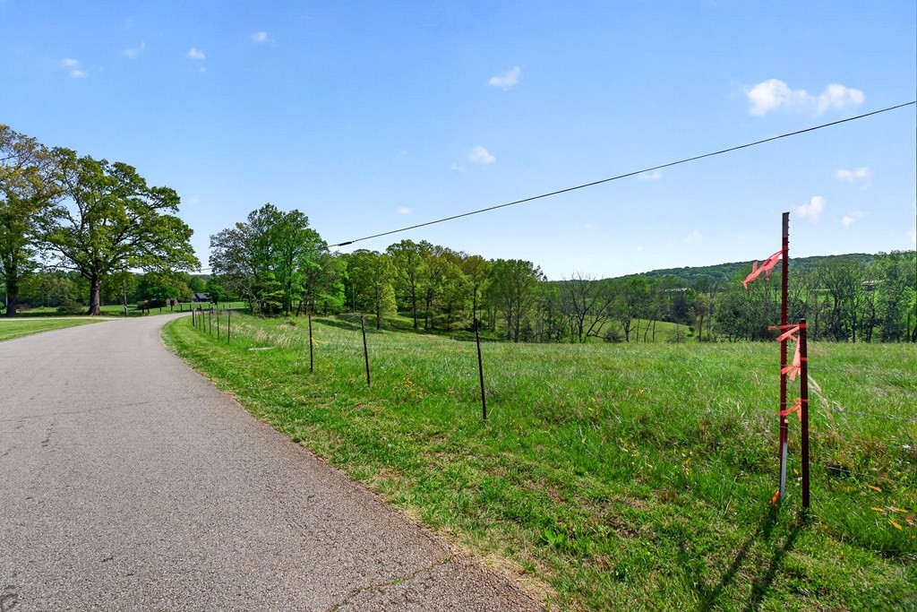 515 Jericho Road Quebeck, TN 38579 - Photo 6 of 21 a view of a field with a tree in it