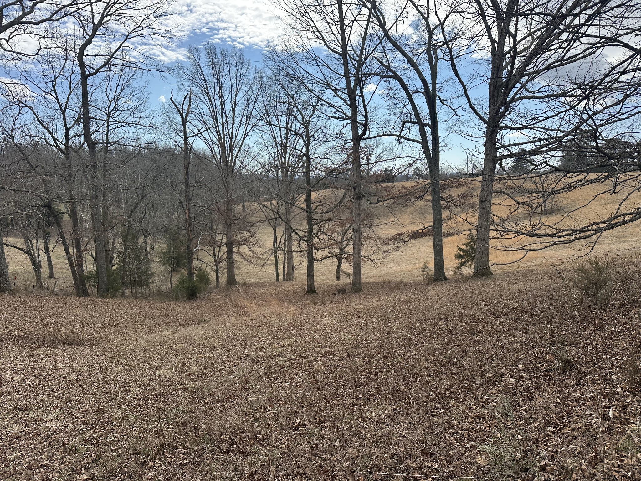 515 Jericho Road Quebeck, TN 38579 - Photo 6 of 13