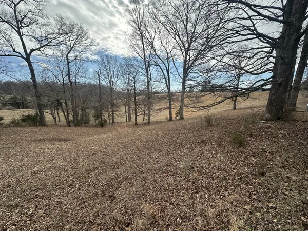 a view of dirt yard with a tree