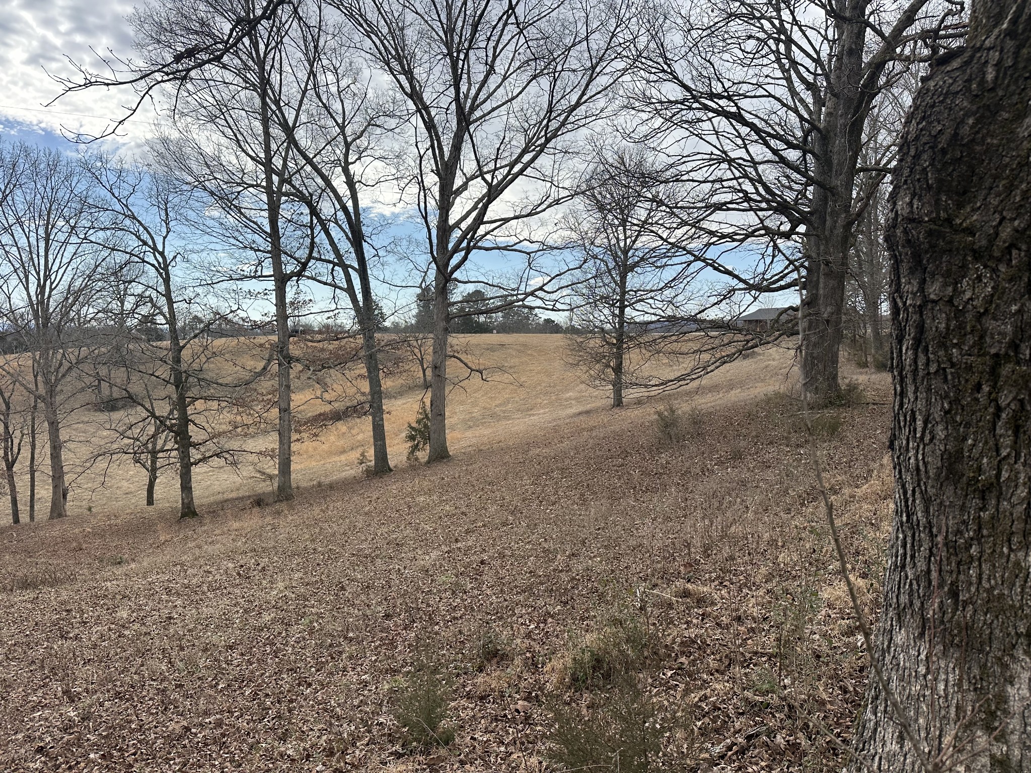 515 Jericho Road Quebeck, TN 38579 - Photo 8 of 13