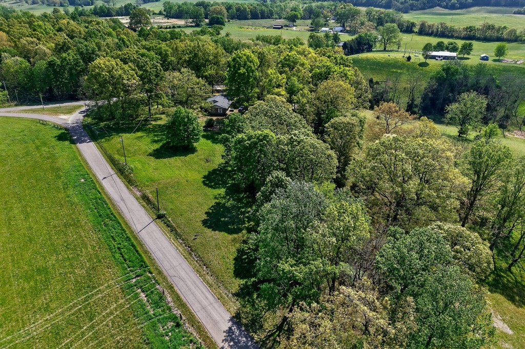 515 Jericho Road Quebeck, TN 38579 - Photo 8 of 21 an aerial view of residential houses with outdoor space and trees