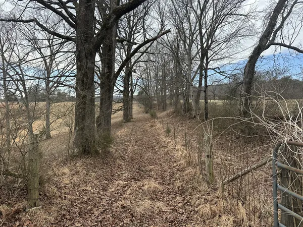 a view of outdoor space with trees