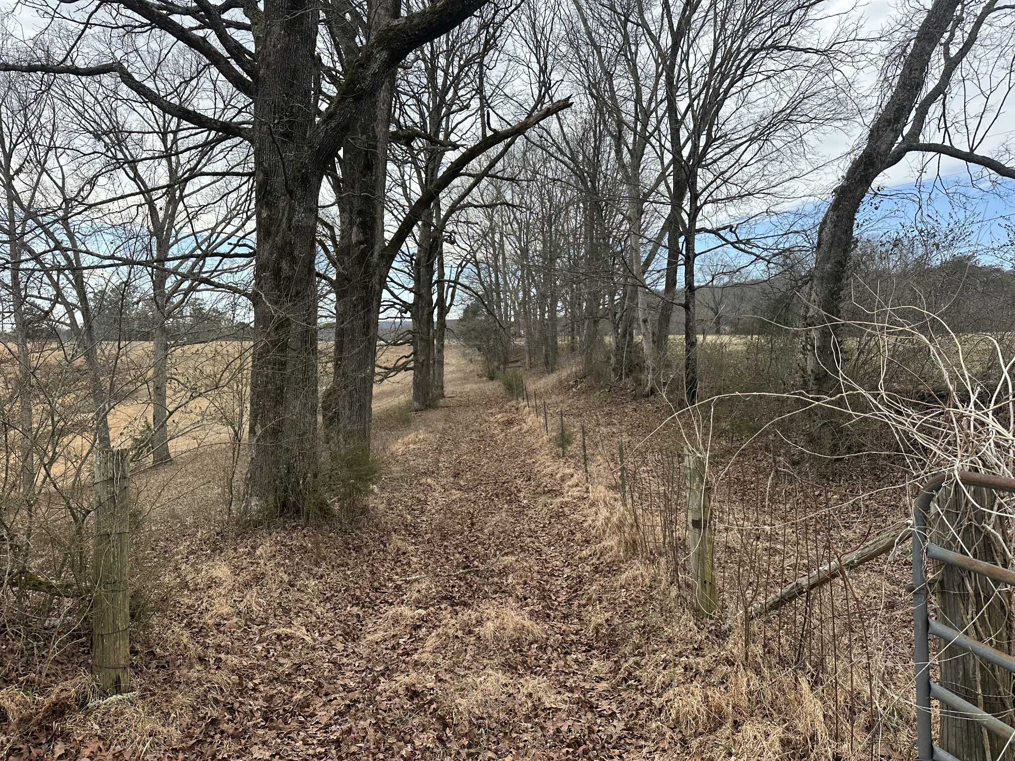 515 Jericho Road Quebeck, TN 38579 - Photo 9 of 13