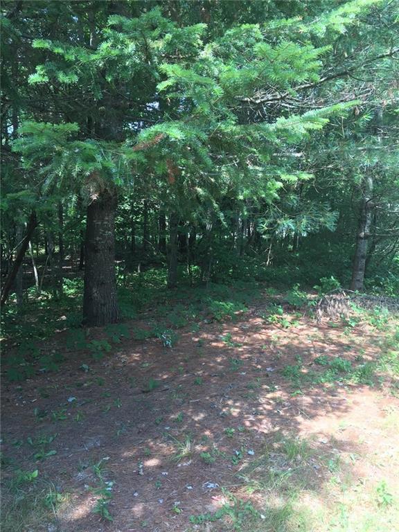 16 Hemon Cobb Road Windham, ME 04062 - Photo 5 of 8 Back yard
