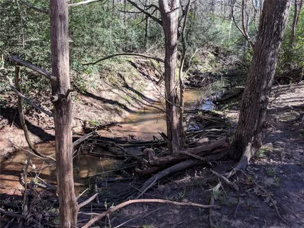$600,000 | 272 Deadwood Road, Cedar Creek, TX 78612