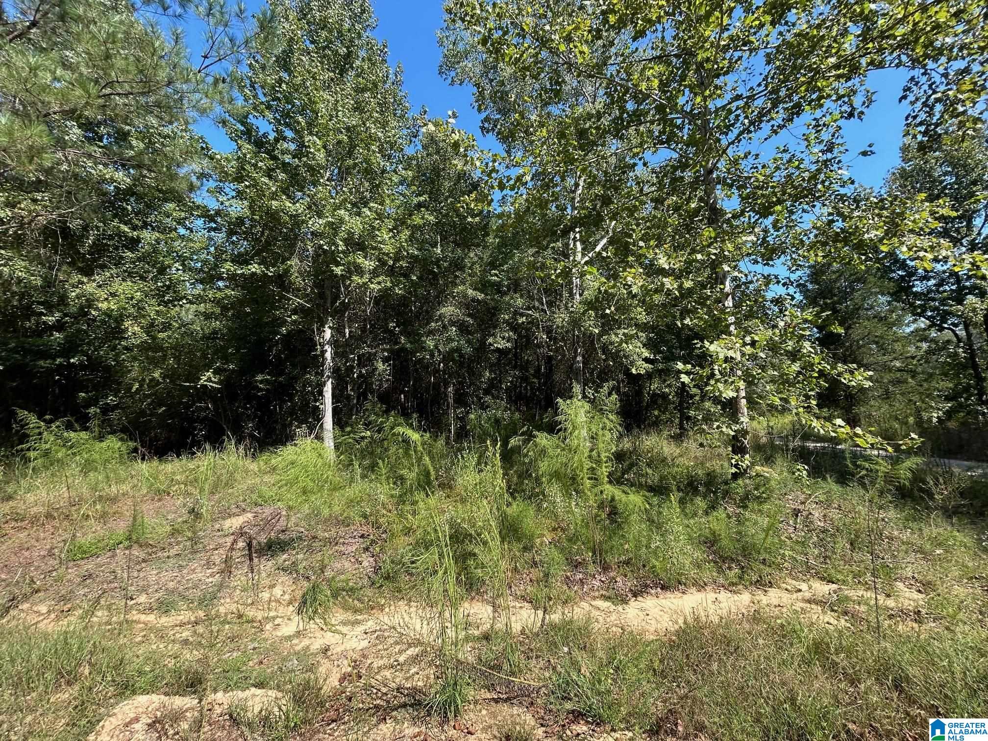 Rocky View Road West Blocton, AL 35184 - Photo 4 of 7