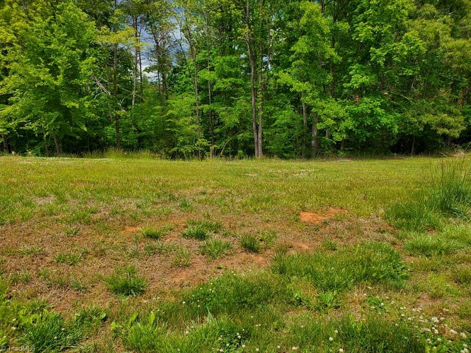 0 Rierson Road Tobaccoville, NC 27050 - Photo 1 of 16 Gallery Image 1