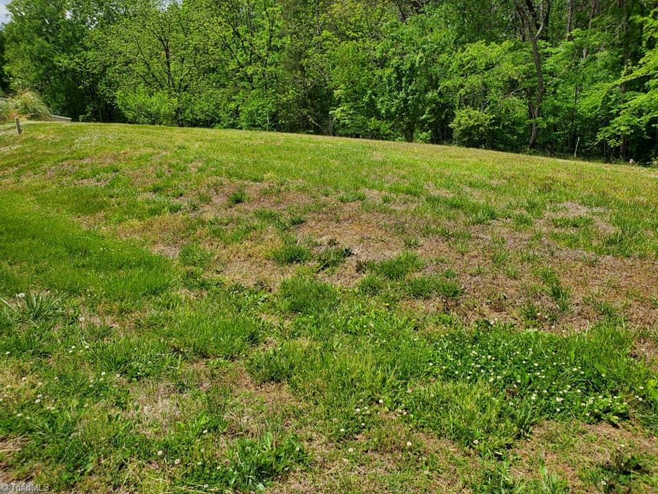 0 Rierson Road Tobaccoville, NC 27050 - Photo 2 of 16 Gallery Image 2