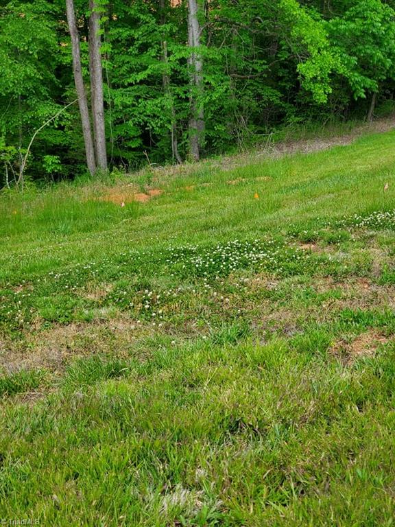 0 Rierson Road Tobaccoville, NC 27050 - Photo 11 of 16 Gallery Image 11