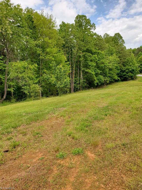0 Rierson Road Tobaccoville, NC 27050 - Photo 13 of 16 Gallery Image 13